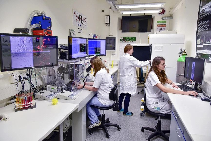 CEITEC: Team prof. Adama.