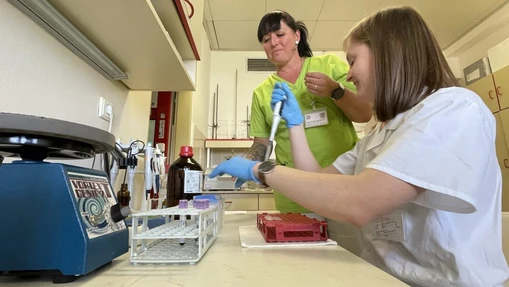 Magazín Experiment: Co dokáže chromatografie?