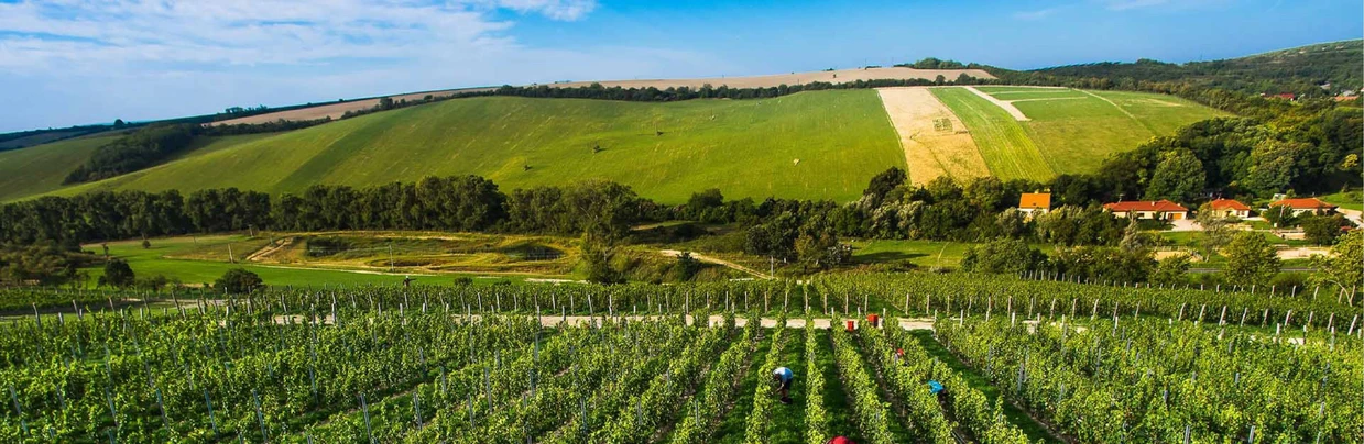 53. Konference Syntéza a analýza léčiv