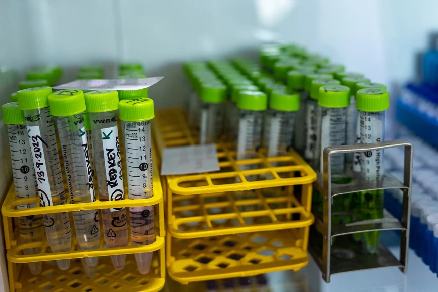 Forum UK/Hynek Glos: Od ovečky k plodinám: Jak léčiva cirkulují v životním prostředí