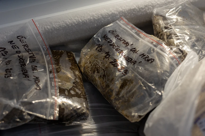 Forum UK/Hynek Glos: Od ovečky k plodinám: Jak léčiva cirkulují v životním prostředí