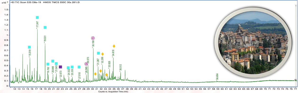 HPST/UPOL: Py-GC/MS analysis of Orte Polychrome objects