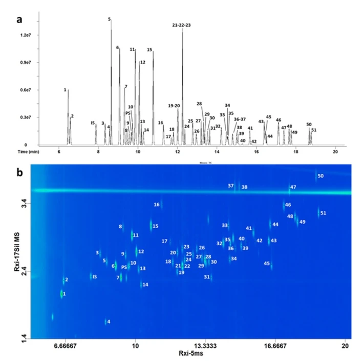 LECO: Obrázek 1. 1a. Zvětšený 1D chromatogram standardní směsi fytosanitárních sloučenin (1-51), vnitřního standardu (IS) a procesu
standardní (PS); 1b. Přiblížený 2D chromatogram stejné standardní směsi. Čísla špiček naleznete v Tabulce 2.