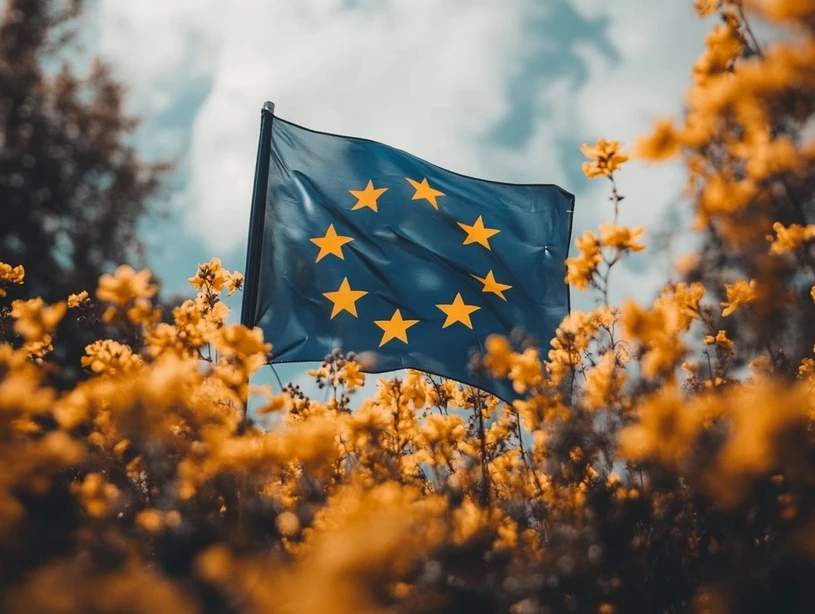 <ul>
<li><strong>Foto:</strong> LabRulez/AI: Jakým směrem se bude ubírat nový rámcový program EU pro výzkum a inovace?</li>
</ul>
