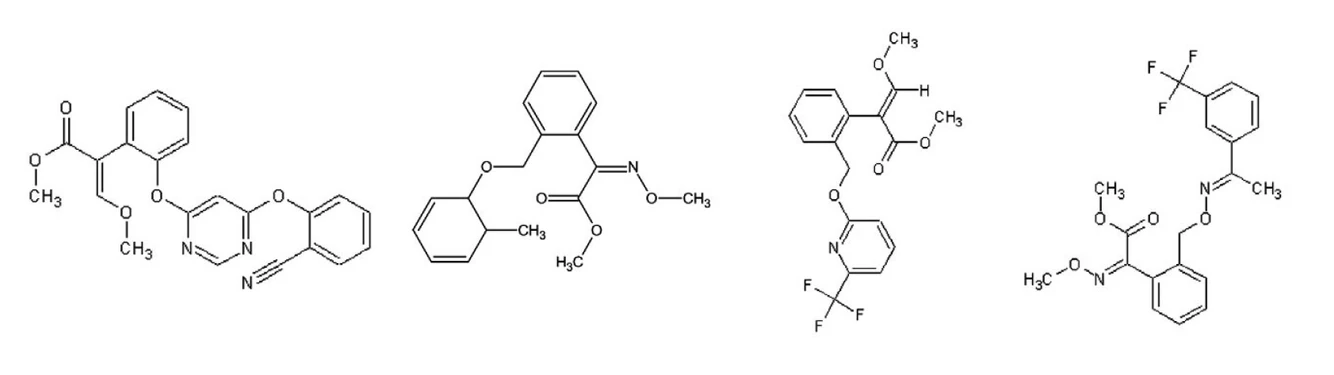 Obr. 1 Azoxystrobin; Obr. 2 Kresoxim-methyl; Obr. 3 Picoxystrobin; Obr. 4 Trifloxystrobin