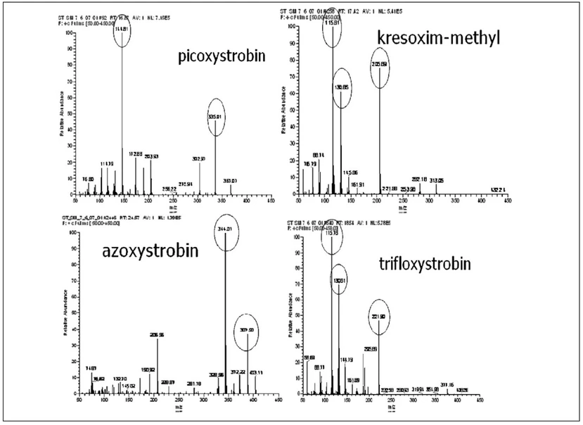 Obr. 5 Hmotnostní spektra strobilurinů