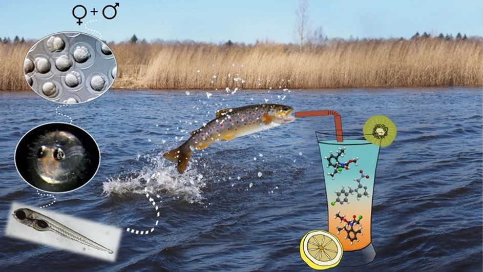 RECETOX/Eliška Kuchovská: Soutěžní slide MT180