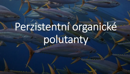 Znečištění vody- fakta, která jste nevěděli