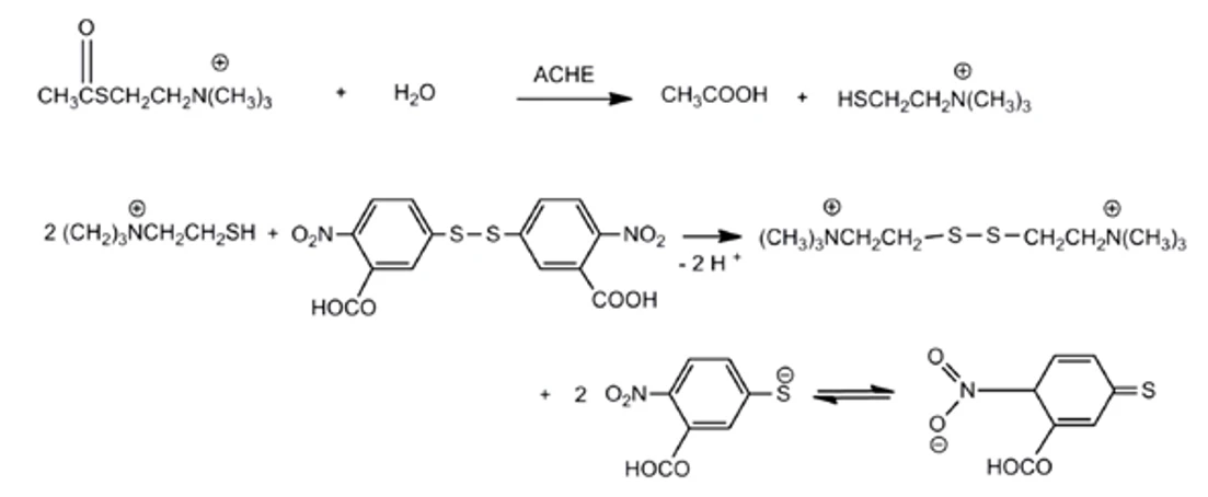 Revue civilnej ochrany: Hydrolýza substrátu a reakcia tiocholinu s Ellmanovým činidlom