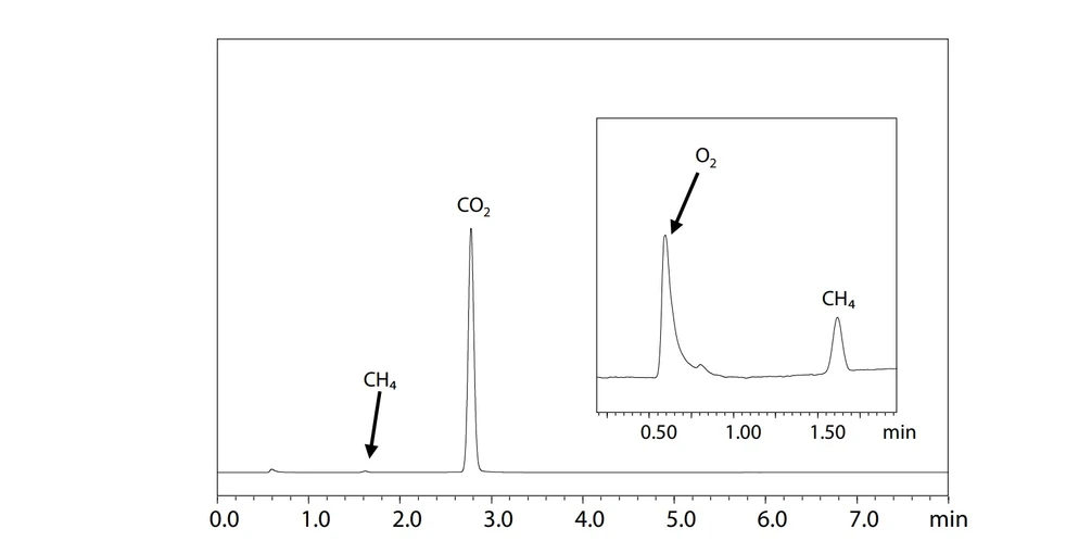 SHIMADZU: Obr. 7 Získaný chromatogram vzorku vzduchu