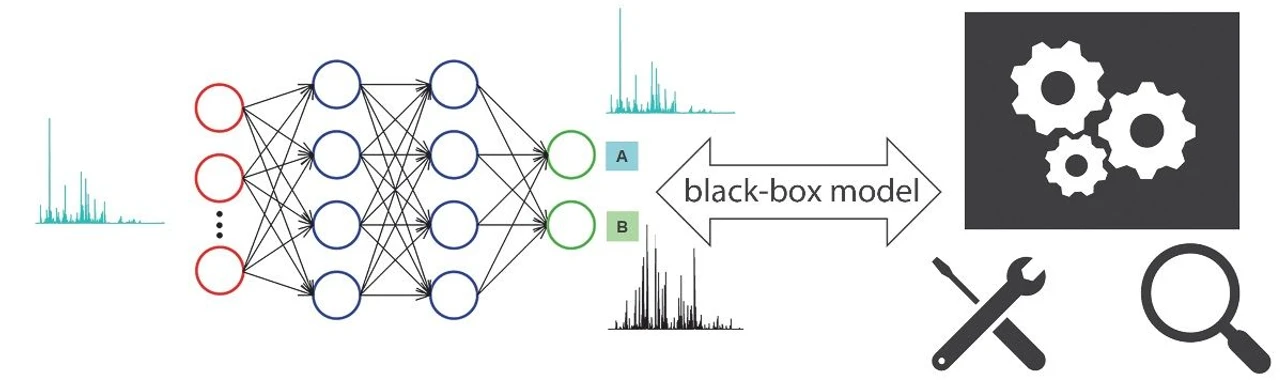 SSJMM: Fig. 1. (Illustration) Black-box behavior of the artificial neural network classifier