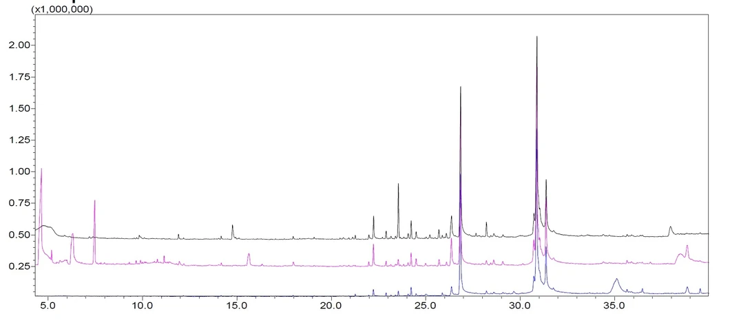 Shimadzu: Obrázek 2. Překryté chromatogramy pro organické hovězí maso, 30 min (černá), 10 min (růžová) a 3 min (modrá) extrakce, SPME vlákno