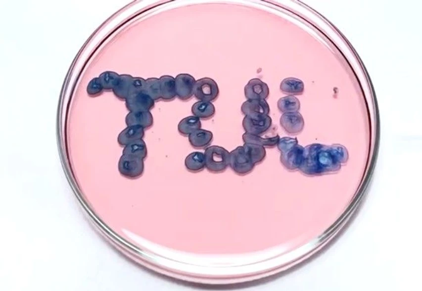 Archiv oddělení nanochemie TUL / Ondřej Havelka: Chemické psaní