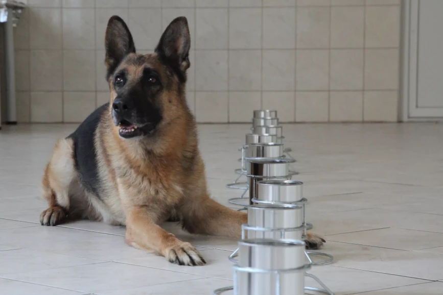 UPCE/Petr Špaček: Chemik Robert Matyáš má v hledáčku výbušiny