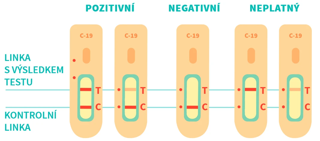 VŠCHT Praha: Možné výsledky antigenního testu