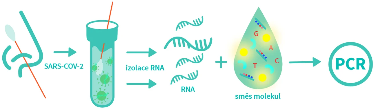 VŠCHT Praha: PCR stanovení genetické informace viru SARS-CoV-2