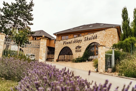 Worskhop Speciační a prvková analýza 2025 (Pozvánka)