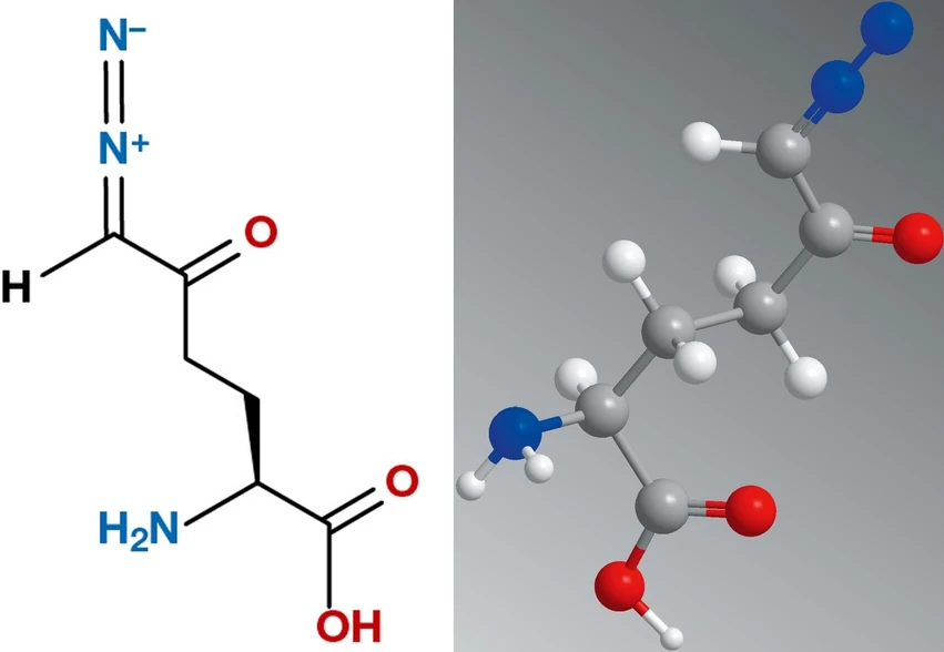 Vesmír: Vzorek + Struktura 6-diazo-5-oxo-L-norleucinu (DONu).