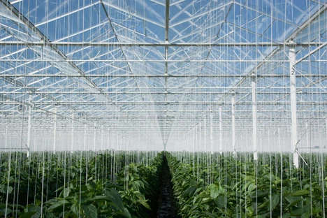 Wiley knihovna hmotnostních spekter pesticidů s LRI, 2. vydání