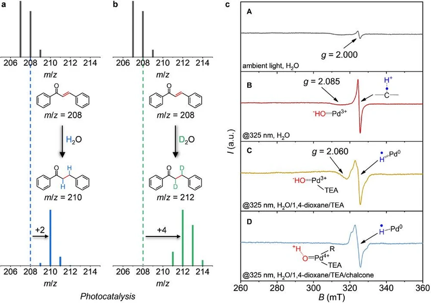 <p><strong>Adv Mater. 2025. doi:10.1002/adma.202504108:</strong> Obr. 4 Hmotnostní spektra kapalného produktu z fotokatalytické selektivní hydrogenace chalconu za přítomnosti Pd-mpg-CN v a) H<sub>2</sub>O a b) D<sub>2</sub>O. c) CW X-pásmová (9,08 GHz) EPR spektra Pd-mpg-CN zaznamenaná při <i>T</i> = 85 K v A) vodě za ozáření okolním světlem, B) vodě s in situ ozářením 325 nm, C) směsi vody/1,4-dioxanu/TEA s in situ ozářením 325 nm a D) vodě/1,4-dioxanu/TEA/chalkonu s in situ ozářením 325 nm.</p>