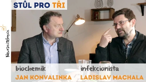 Očkování: Neočkovat děti je sobecké a nebezpečné