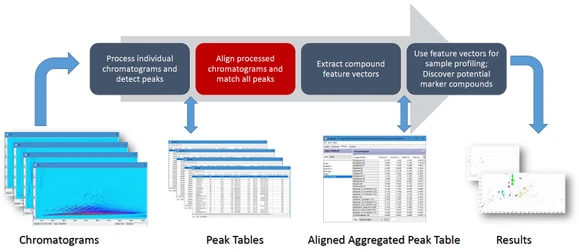 ZOEX GC Image software