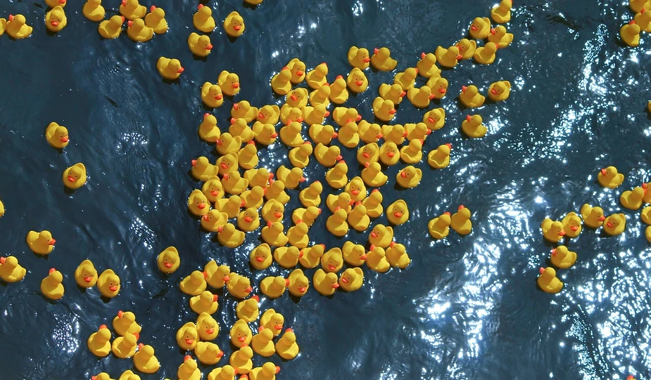 Pixabay/Manfred Richter: TED-GC/MS, Thermal Extraction and –Desorption combined with Gas Chromatography-Mass Spectrometry, a novel technique for the determination of microplastics in water