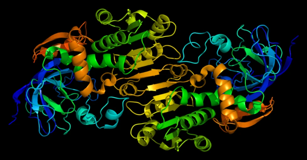 Přírodovědci.cz/Wikipedia: Enzym alkohol dehydrogenasa přeměňuje ethanol na toxický acetaldehyd za vzniku molekuly NADH.