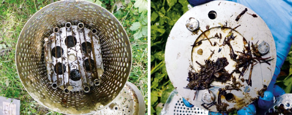 Obr. 4. Exponované membrány: SR (vlevo), POCIS (vpravo)